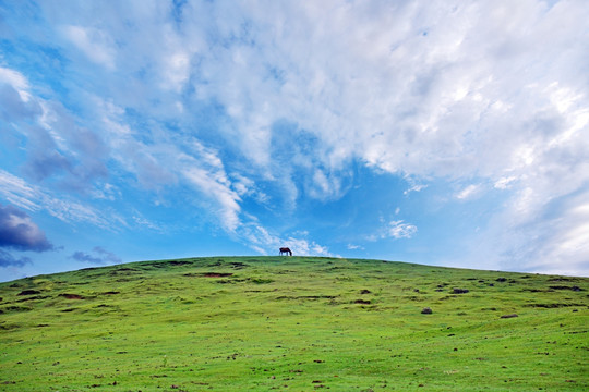 草原风景