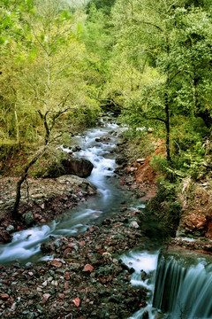 小溪流水