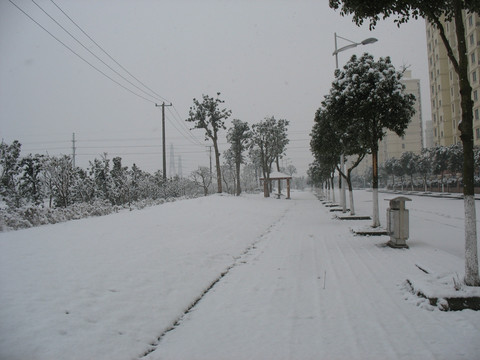 雪中道路