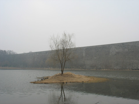 湖心洲