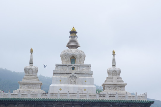 青海塔尔寺