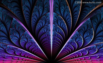 花紋圖案