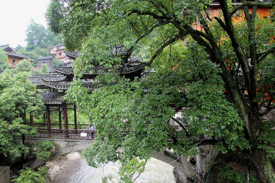 树荫风雨桥