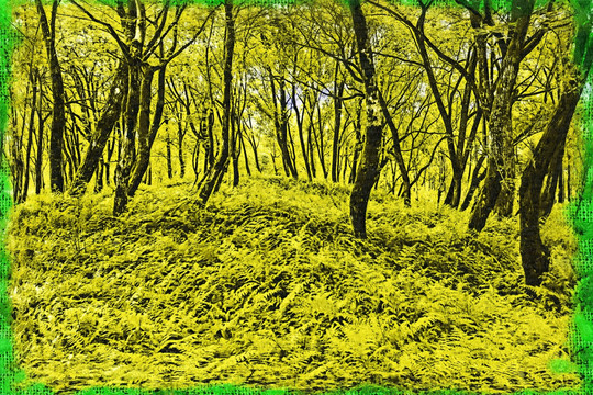 風(fēng)景 油畫