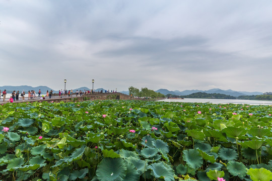 杭州西湖风光