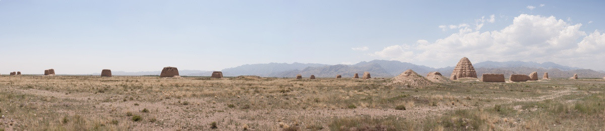 西夏王陵 接片 全景