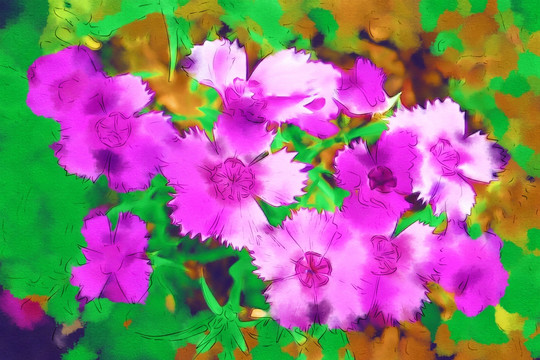 電腦水粉畫 花朵