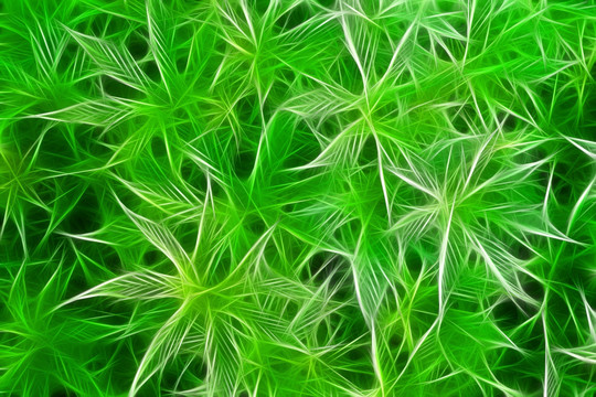 電腦畫 植物