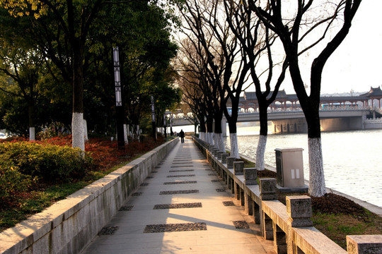公園小路