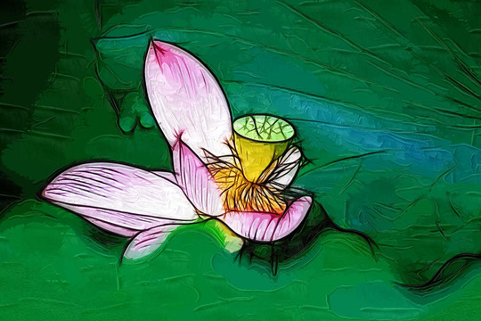 荷花油畫