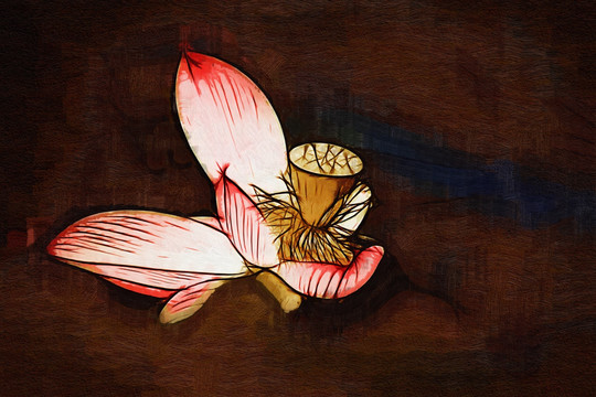 荷花油畫(huà)