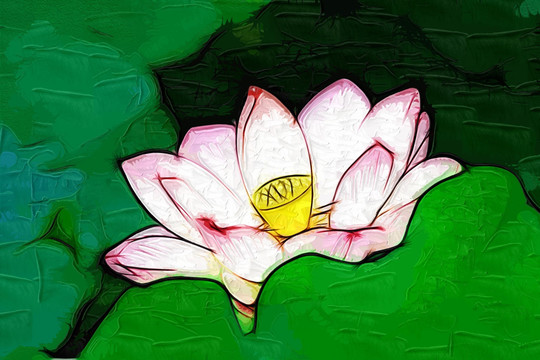 荷花油畫(huà)