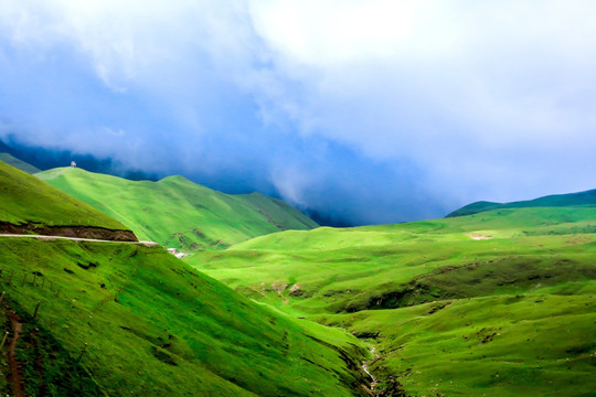 云贵高原高山牧场