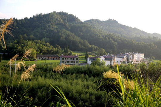 美丽的小山村