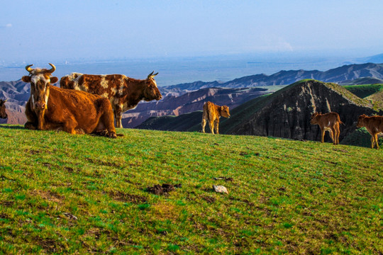 春季天山山脉