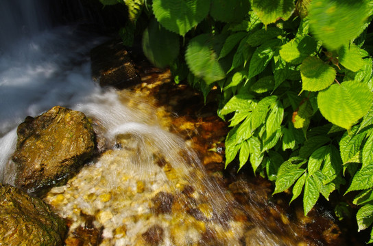 水源 山泉水