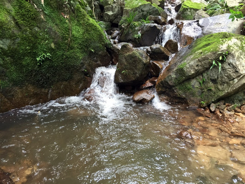 山澗溪流