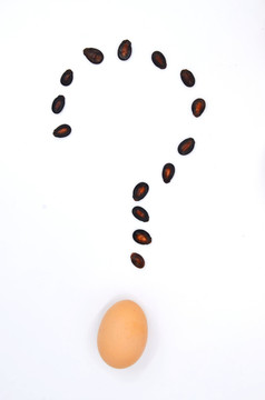 鸡蛋创意摄影 鸡蛋和瓜子