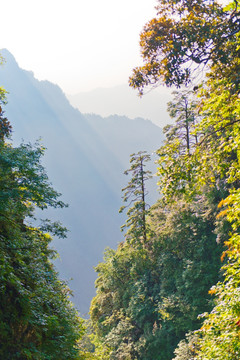 峨眉风景