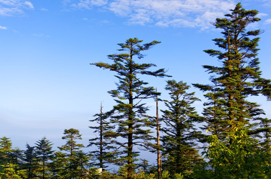 峨眉风景