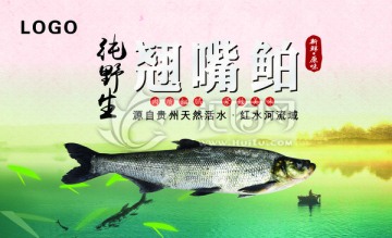 魚海報(bào)