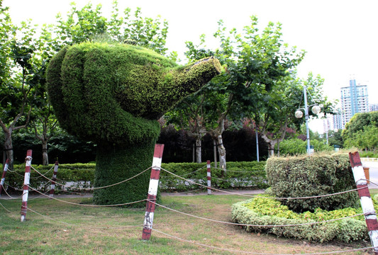 植物造型