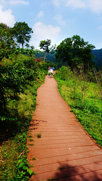 园林道路