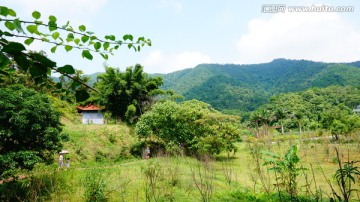 丛林山岭