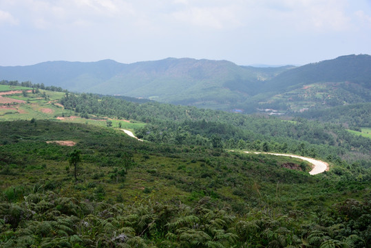 高原景观