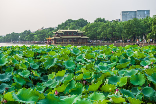 杭州西湖