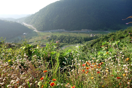 重庆武陵山景区 盘山公路