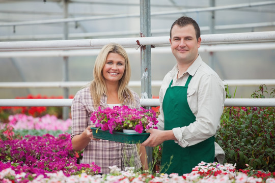 温室里给客户送花的员工