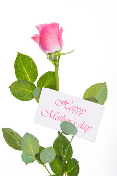 玫瑰上放了写有母亲节快乐的卡片