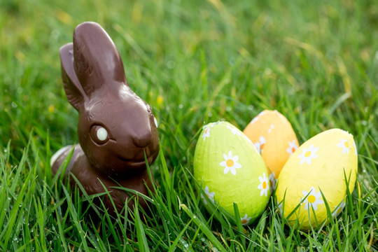 被放在草地上的兔子巧克力