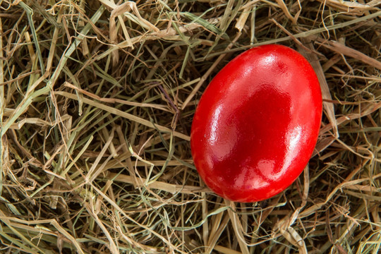 红色手绘蛋