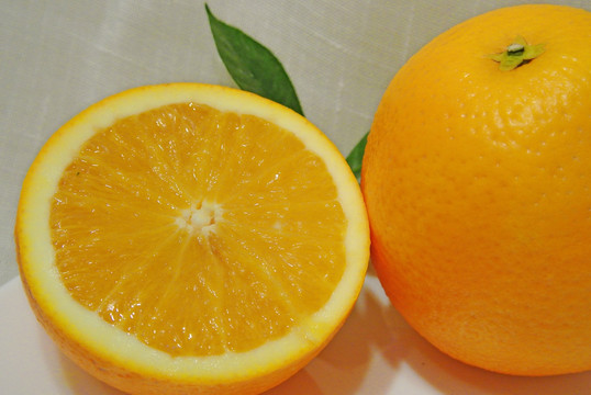 橙子素材 脐橙背景