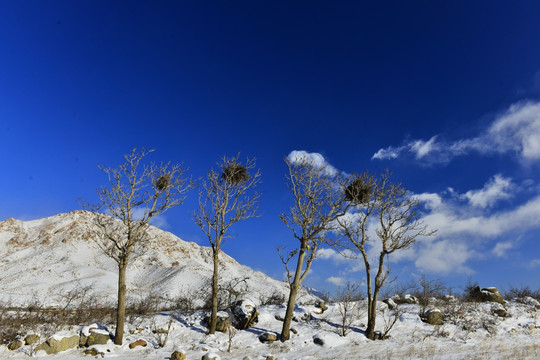 贺兰山