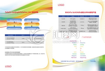 實驗單頁宣傳單設(shè)計PSD文件