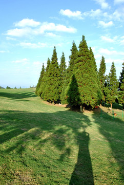 云阳高山草场