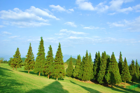 云阳高山草场