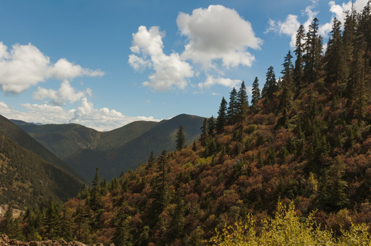 高尔寺山风景