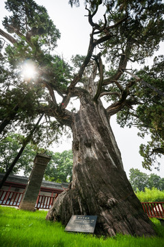 黄帝陵