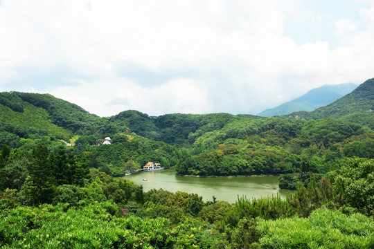 湿地公园 唯美风景