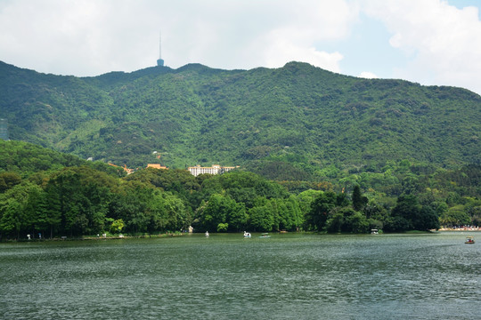 湿地公园 唯美风景