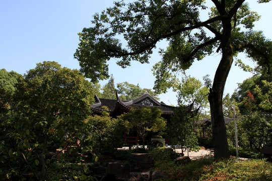 苏州上方山 盆景园