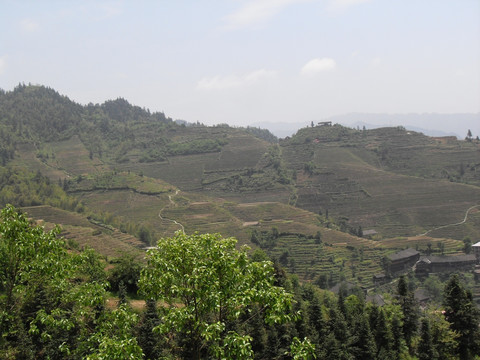 桂林风光 漓江 山水 风光 桂