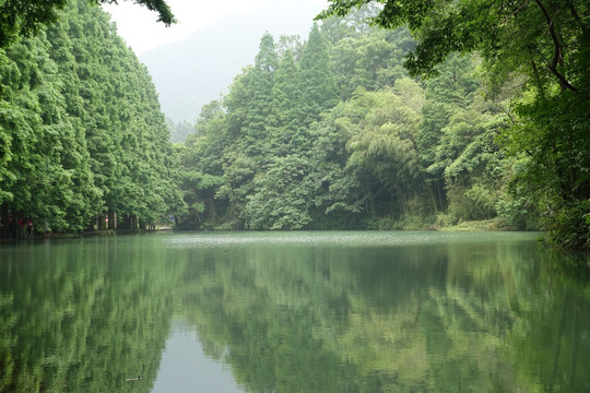 朱家山国家森林公园青山绿水