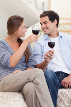 一对夫妇手举着红葡萄酒干杯