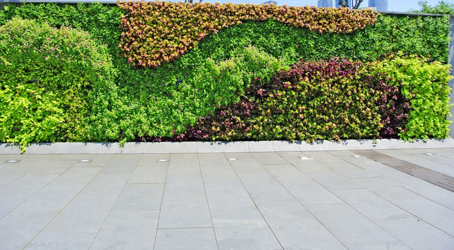 植物墙 植被墙