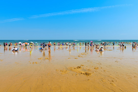 海水浴场 沙滩